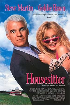 HouseSitter Poster Image