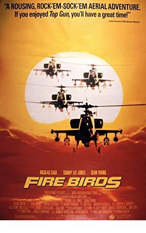 Fire Birds Poster Image