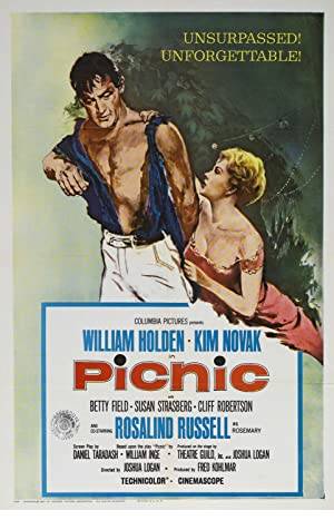 Picnic Poster Image