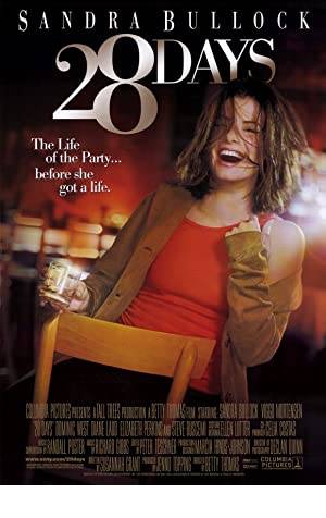 28 Days Poster Image