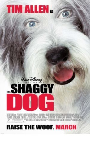 The Shaggy Dog Poster Image